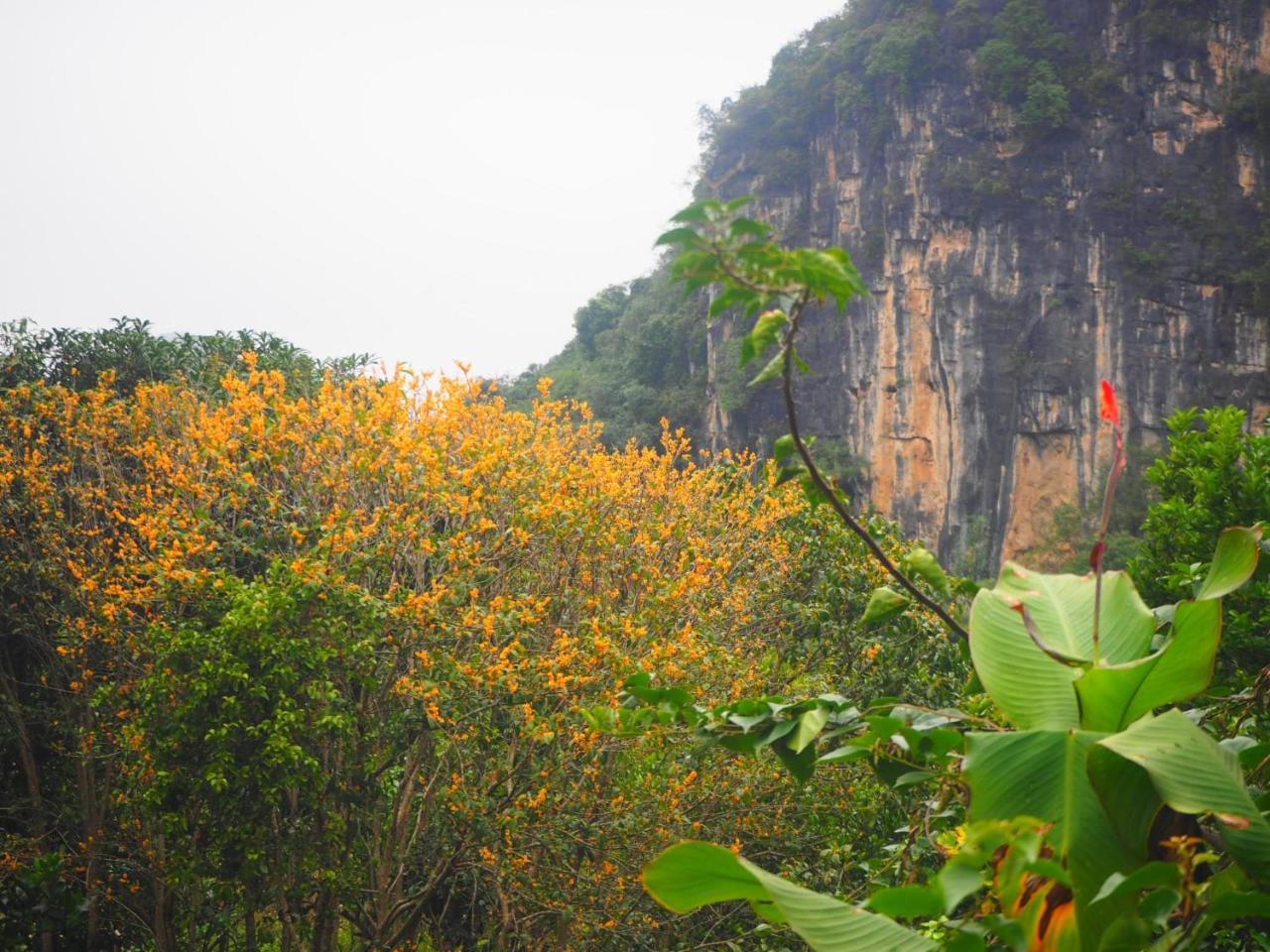 Yangshuo Moon Resort Hotel Guilin Dış mekan fotoğraf